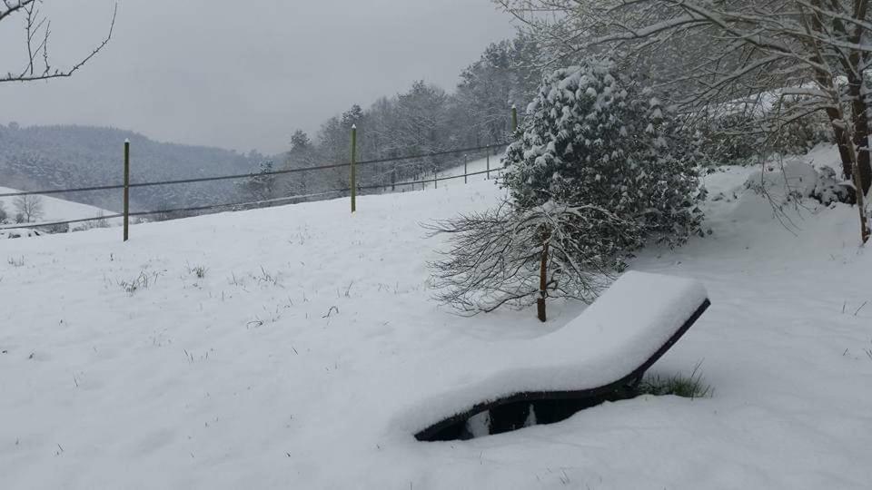 Agroturismo Iberreko Errota Muxika Екстер'єр фото